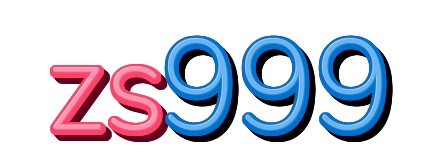 zs999 — logo kanal